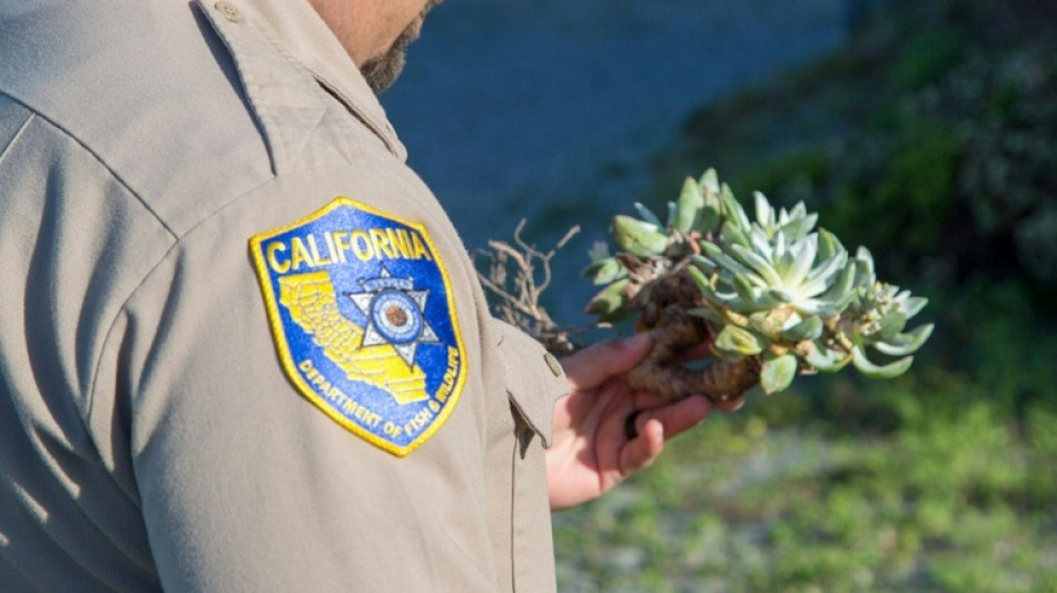 South Korean plant poacher jailed in US