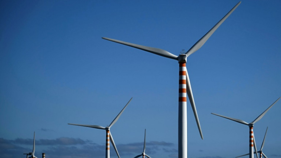 Las soluciones contra el cambio clim&aacute;tico a veces no son las mejores para la biodiversidad