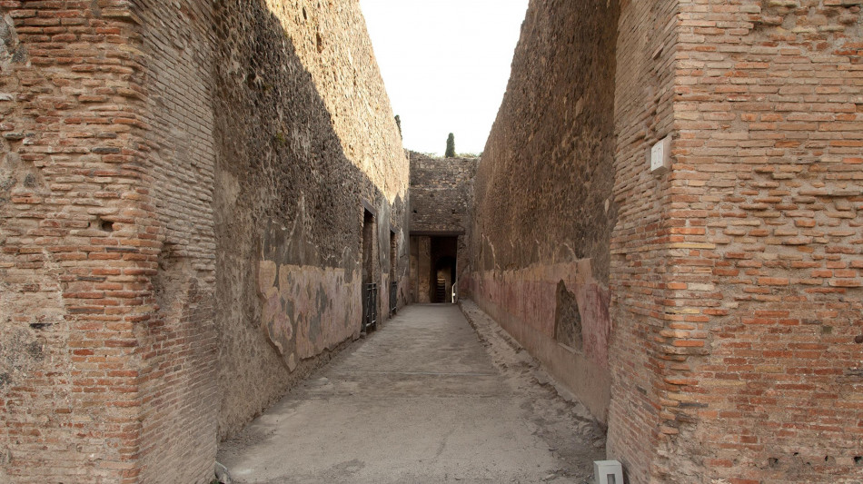 Nasce progetto vitivinicolo innovativo nel parco archeologico di Pompei