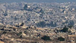 Comienzan en Doha negociaciones sobre Gaza en v&iacute;speras de reuni&oacute;n entre Netanyahu y Trump