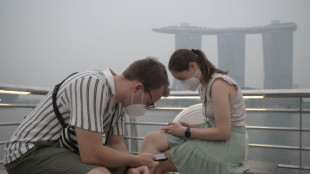 Singapore puts seven Indonesian firms on notice over toxic haze
