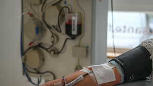 A la recherche des sangs "rares", essentiels pour r&eacute;pondre &agrave; la diversit&eacute; des besoins