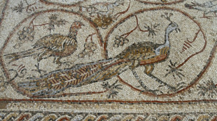 Un tesoro arqueol&oacute;gico es salvado in extremis de una operaci&oacute;n militar israel&iacute; en Gaza