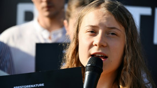 Jug&eacute;e en Su&egrave;de, Greta Thunberg &eacute;chappe &agrave; une peine de prison