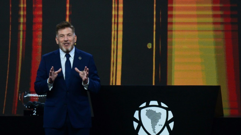 Presidente da Conmebol se desculpa ap&oacute;s comparar brasileiros &agrave; macaca Chita