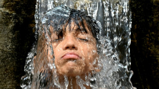 Heatwave forces early school closures in Pakistan's largest province