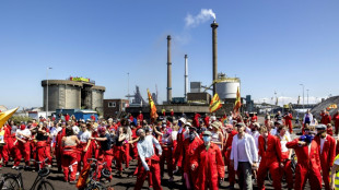 El gigante sider&uacute;rgico Tata Steel recortar&aacute; 800 empleos en Pa&iacute;ses Bajos