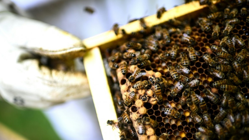 Pestizid-Petition setzt französische Regierung unter Druck