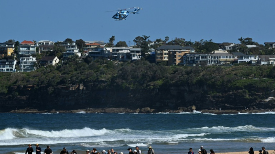 Un surfeur tu&eacute; par un "grand requin" en Australie