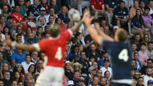 Mondial de rugby 2023: un juge d'instruction va enquêter sur des escroqueries autour de places VIP