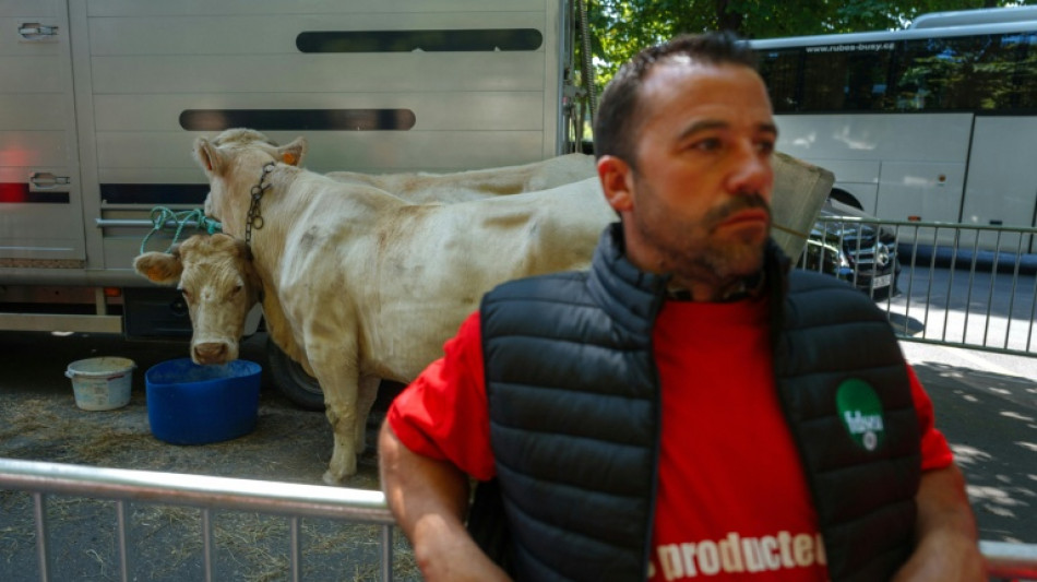 Europeus se preocupam com possível impacto do acordo UE-Mercosul na agricultura