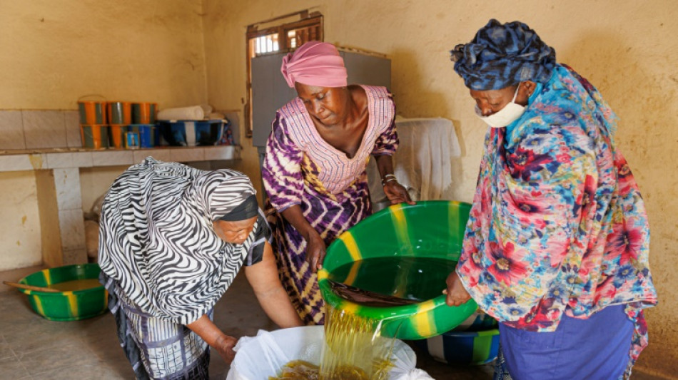 La manteca de karit&eacute;, una esperanza para las mujeres de Mal&iacute;