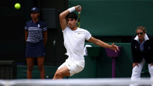 Alcaraz zerschmettert Djokovics Hoffnung mit Titelverteidigung in Wimbledon: "Ich tr&auml;ume weiter"