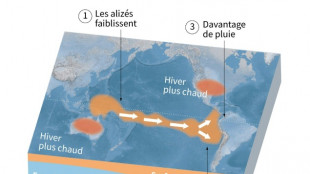 El Ni&ntilde;o devrait contribuer &agrave; des temp&eacute;ratures sup&eacute;rieures &agrave; la normale entre mars et mai