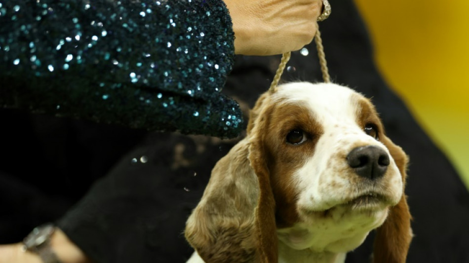 Hund sperrt in M&uuml;nchen Mutter von sechsmonatigem S&auml;ugling auf Balkon aus