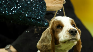 Hund sperrt in M&uuml;nchen Mutter von sechsmonatigem S&auml;ugling auf Balkon aus