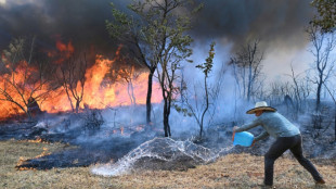 La devastaci&oacute;n por los incendios en Brasil crece un 79% en 2024 