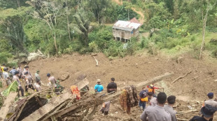 Indon&eacute;sie: 20 morts selon le bilan final d'un glissement de terrain
