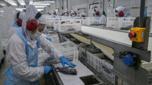 Economia do Brasil cresceu 2,3% em 2025 mas perde for&ccedil;a