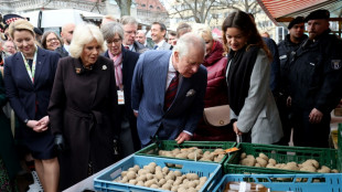 Kartoffel-Bilanz: Verbraucher greifen seltener zur frischen Knolle und &ouml;fter zu Fritten