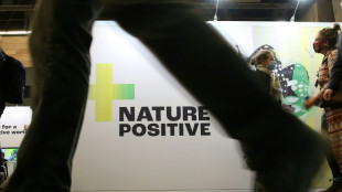 Lemke k&uuml;ndigt bei UN-Biodiversit&auml;tskonferenz neues Projekt an