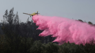 Los incendios cerca de Jerusal&eacute;n est&aacute;n "bajo control"