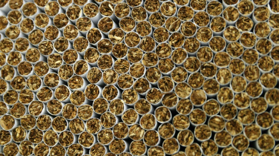 Polizei findet 29 Millionen Zigaretten bei Aushebung illegaler Produktionsst&auml;tte