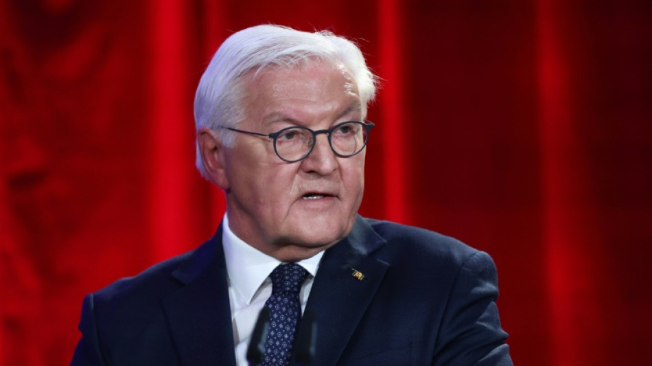 AfD ver&auml;rgert &uuml;ber Steinmeier-Rede - Vorwurf der politischen Einmischung