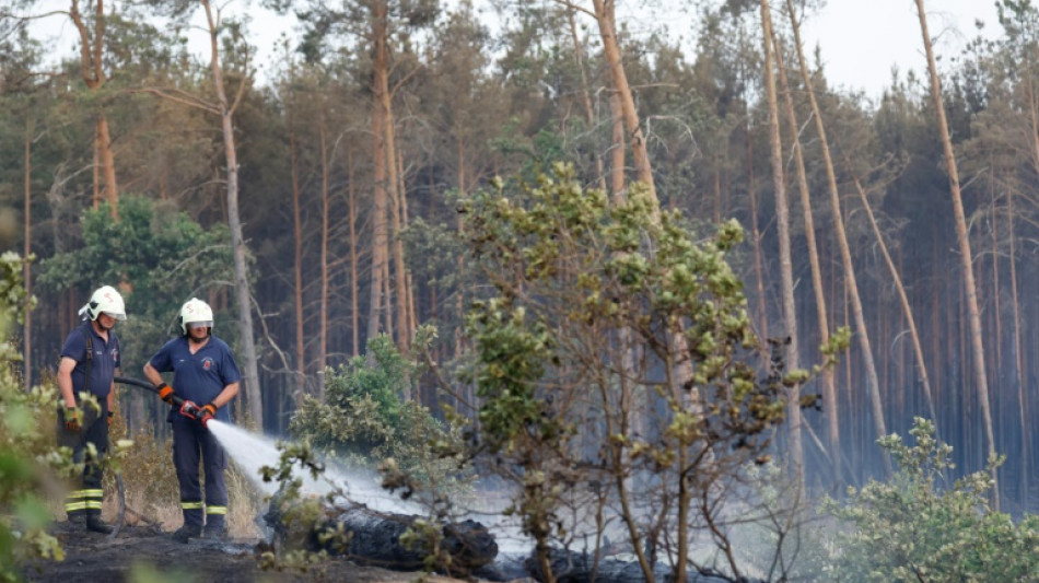 Woidke schlie&szlig;t weitere Evakuierungen in Brandenburg wegen Waldbr&auml;nden nicht aus
