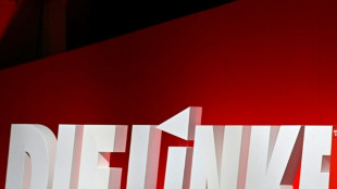 Linken-Parteichef Schirdewan fordert Verbot von Privatjets