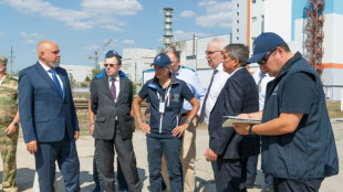 Feuer in russischem Atomkraftwerk Kursk nach Absturz von ukrainischer Drohne