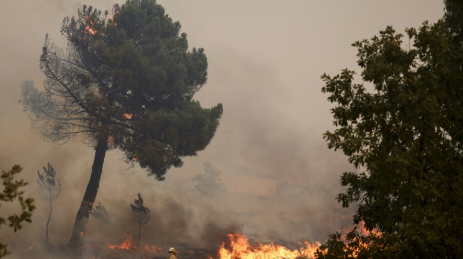 Au Portugal, les incendies font un troisi&egrave;me d&eacute;c&egrave;s