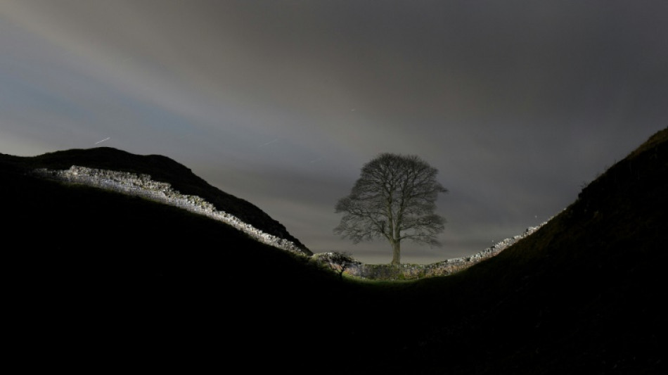 Two men found guilty of chopping down iconic UK tree
