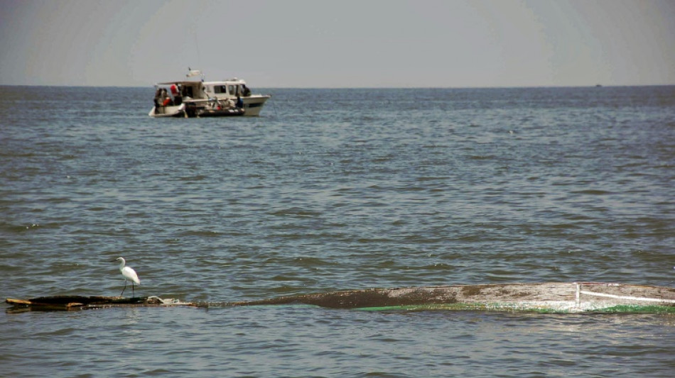 Un avi&oacute;n de pasajeros cae en el lago Victoria en Tanzania 