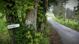 En Corr&egrave;ze, des recherches pour retrouver un charnier de soldats allemands ex&eacute;cut&eacute;s par des r&eacute;sistants