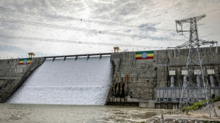 L'Ethiopie, apr&egrave;s 14 ans de travaux, inaugure le plus grand barrage d'Afrique
