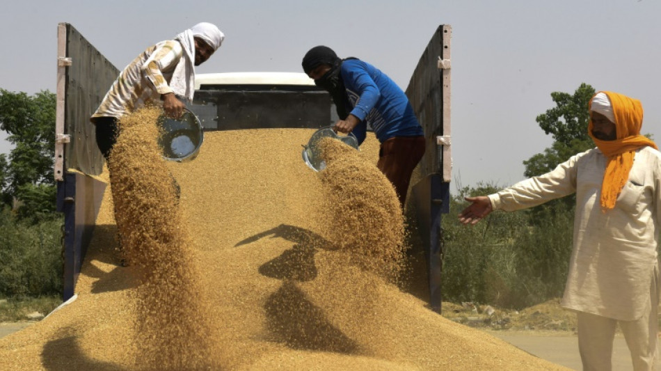 Le prix du bl&eacute; atteint un record en cl&ocirc;ture apr&egrave;s l'embargo indien sur les exportations