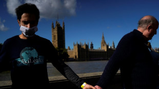 Assange-Unterst&uuml;tzer bilden Menschenkette um britisches Parlament