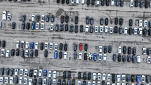 Stellantis, +4,6% a dicembre in Italia, perde il 6,2% nell'anno