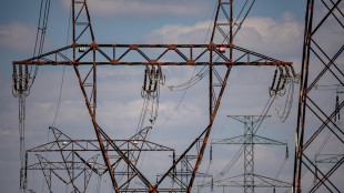 Gme, il prezzo dell'elettricit&agrave; cala a maggio del 6,3%