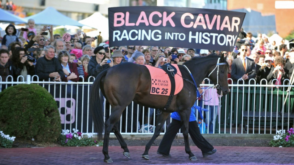 Australian champion race horse Black Caviar dies