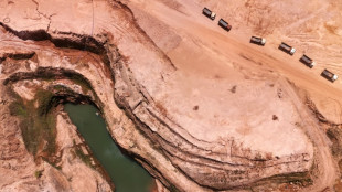 O verdadeiro pre&ccedil;o do ouro: agricultores e ind&iacute;genas contra febre do garimpo no Paraguai