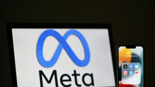 Arranca el juicio de los medios espa&ntilde;oles contra Meta por su modelo publicitario