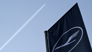 Lufthansa verzeichnet Rekordumsatz - aber leicht gesunkenen Nettogewinn