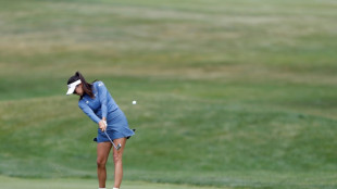 Lee leads LPGA Meijer Classic by two