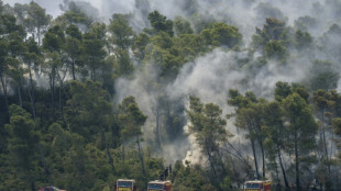 &Agrave; Saint-Laurent-de-la-Cabrerisse, le d&eacute;sespoir des vignerons sinistr&eacute;s par le feu