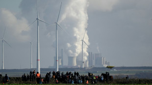 King coal set to lose crown for electricity production: IEA