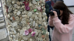 En Su&egrave;de, des chewing-gums pr&eacute;historiques r&eacute;v&egrave;lent leurs myst&egrave;res 