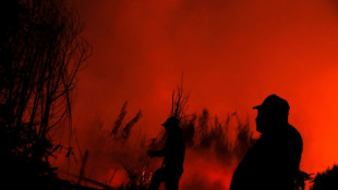 Incendies au Chili: arriv&eacute;e de l'aide internationale