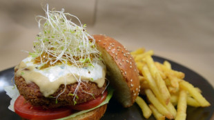 EU-Verhandler vertagen Entscheidung über Namensverbot für Veggie-Burger